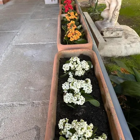 Couette-café Ajoaolbia