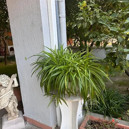 Bed & Breakfast Ajoaolbia